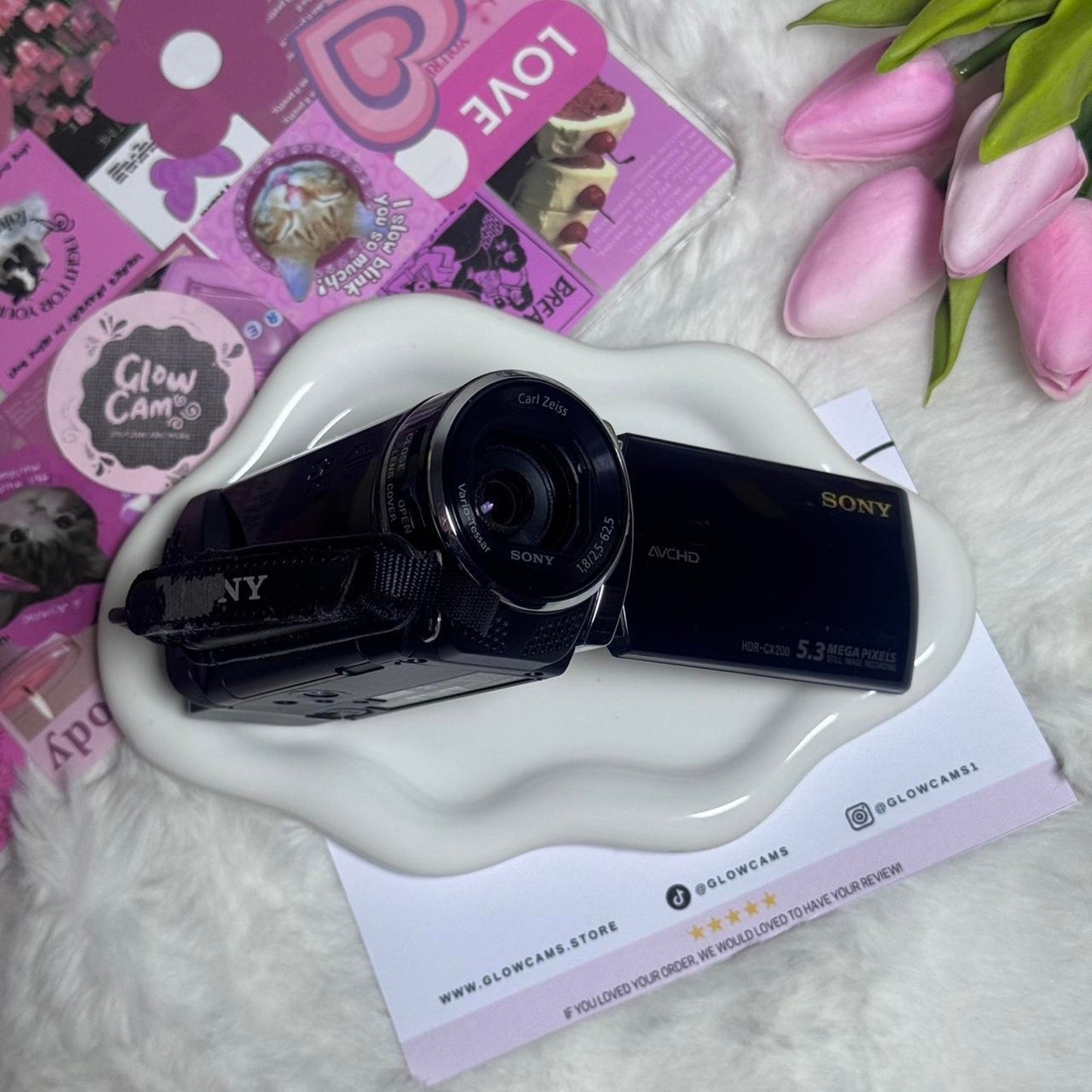 Sony handycam hdr cx200 digital camera