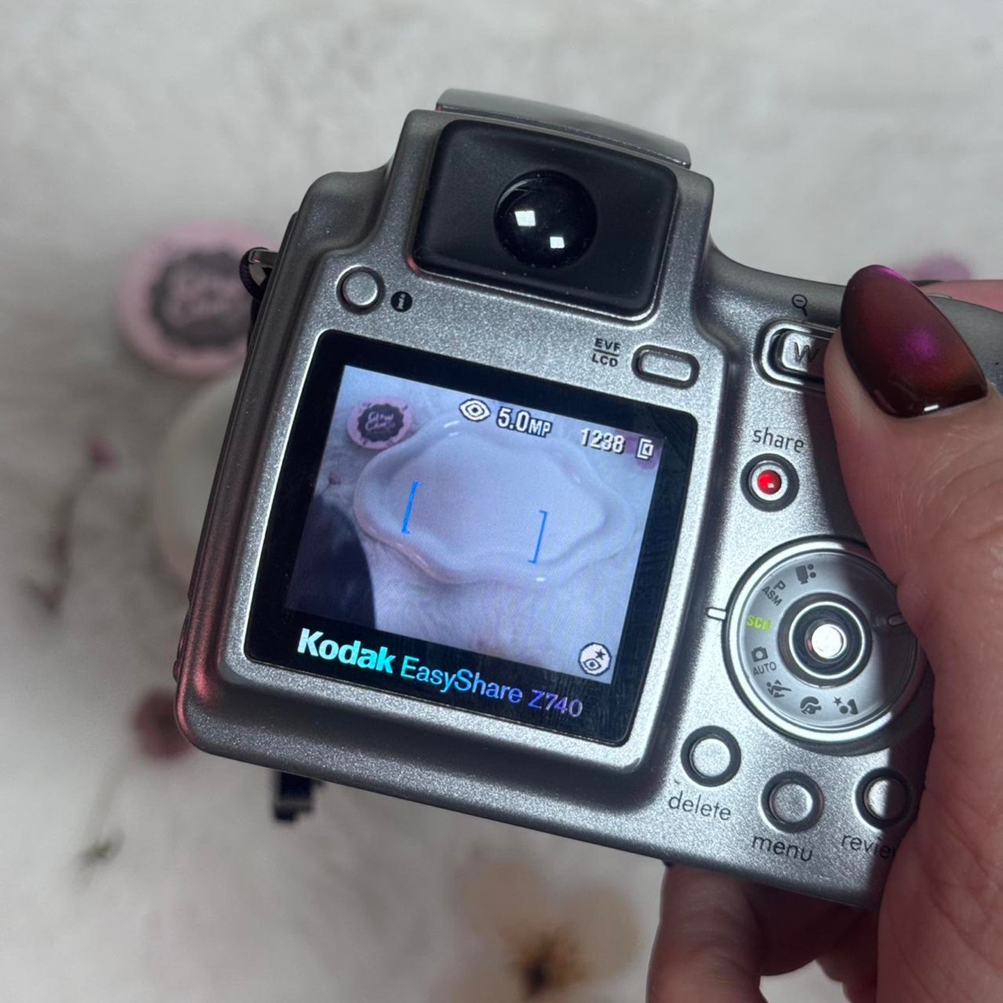 Kodak easyshare digital camera