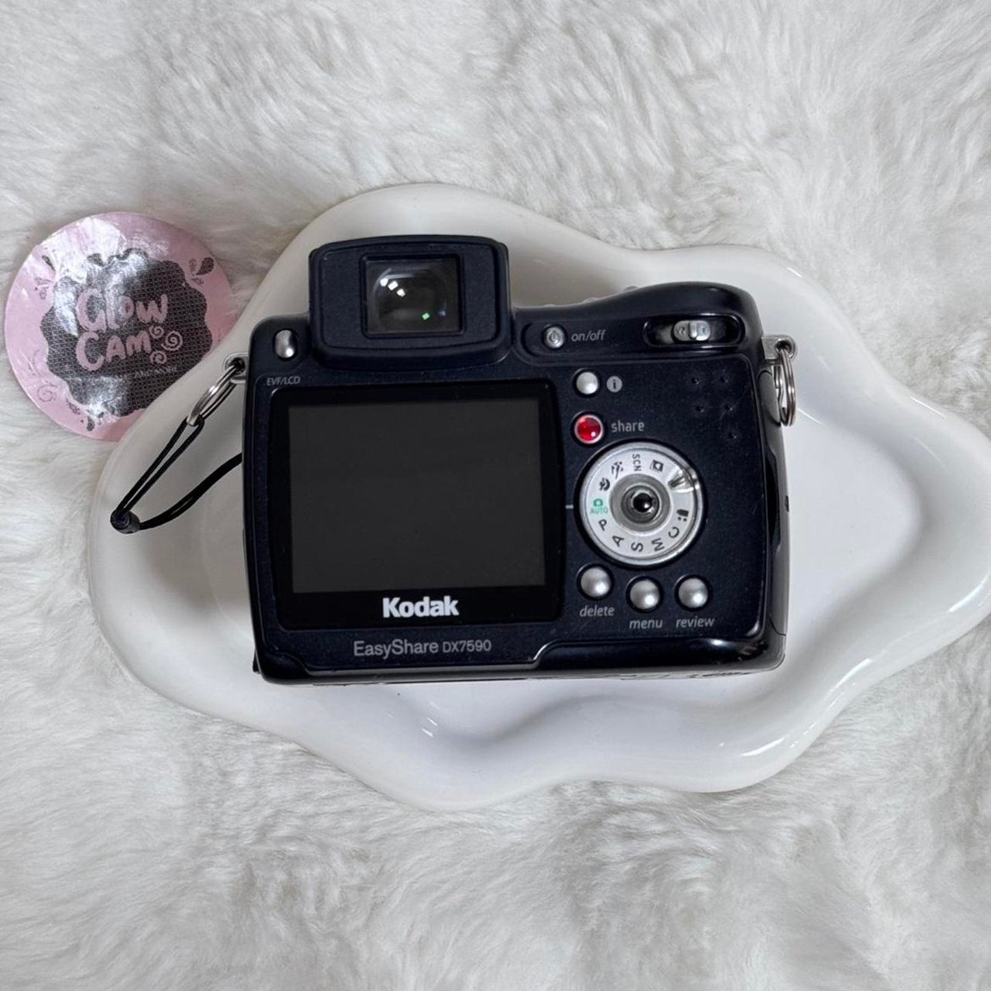 Kodak dx7590 digital camera