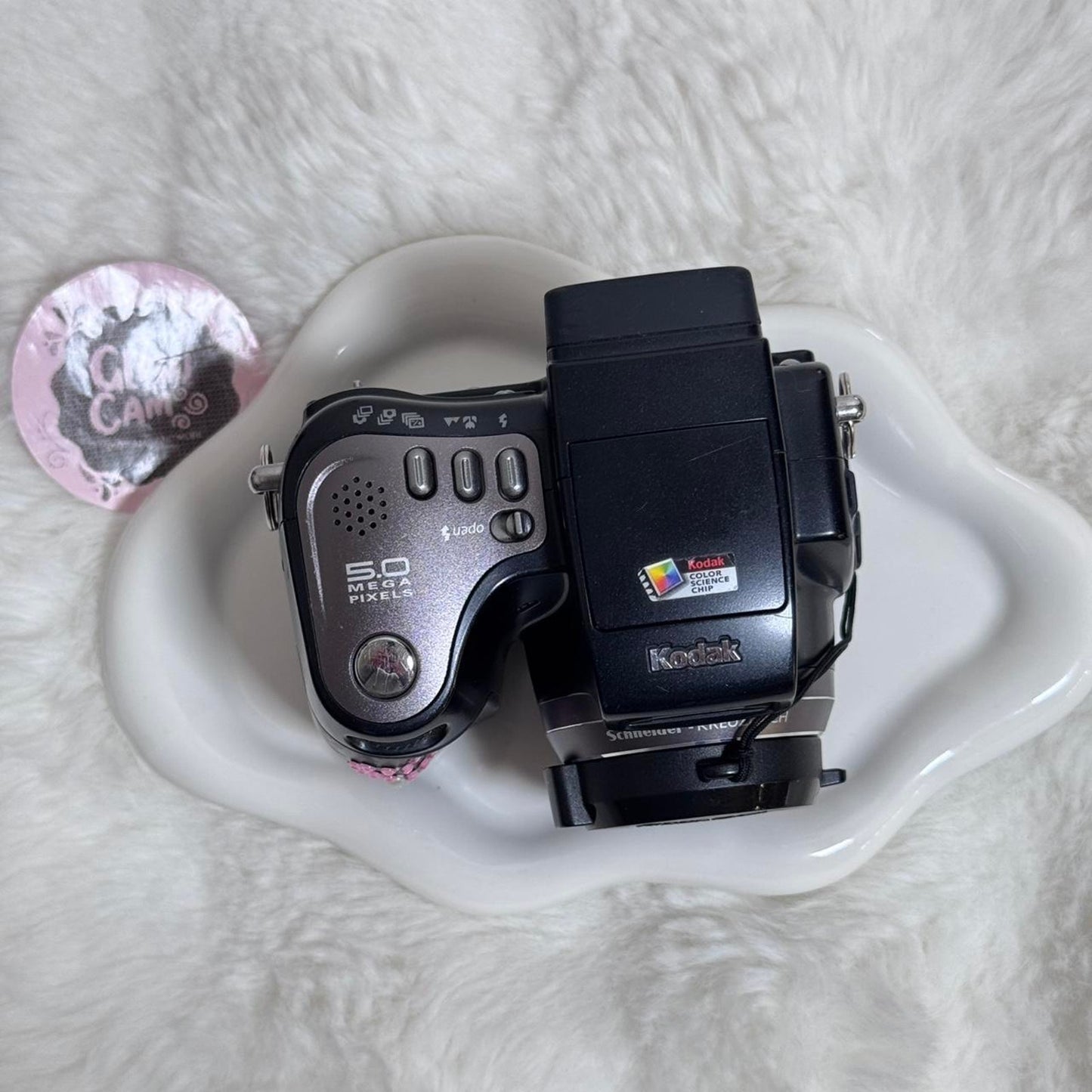 Kodak dx7590 digital camera