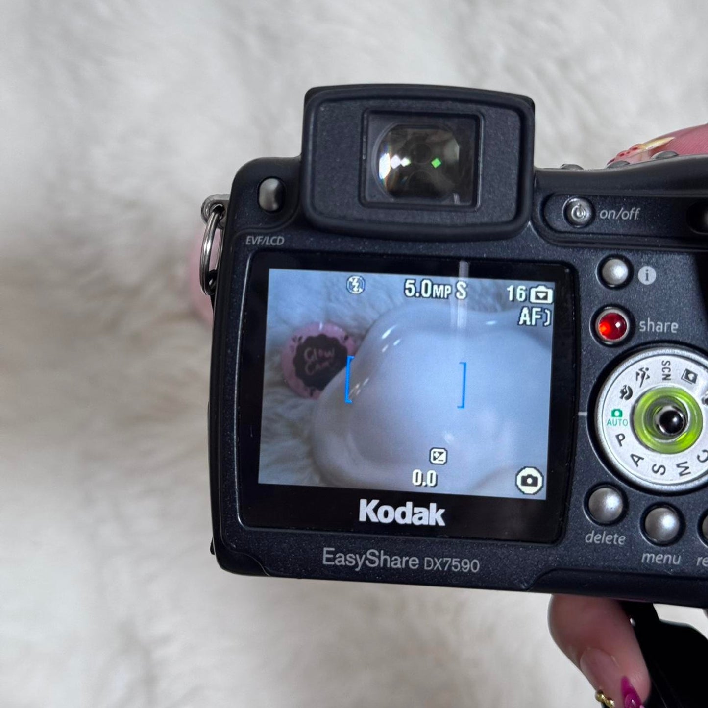Kodak dx7590 digital camera